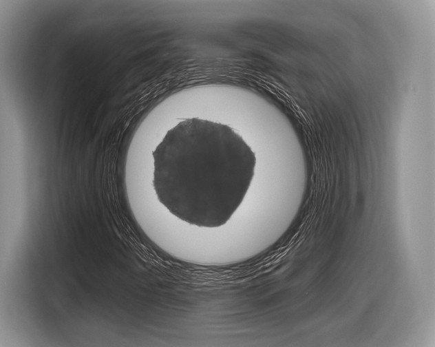 X0000116631442200912110951