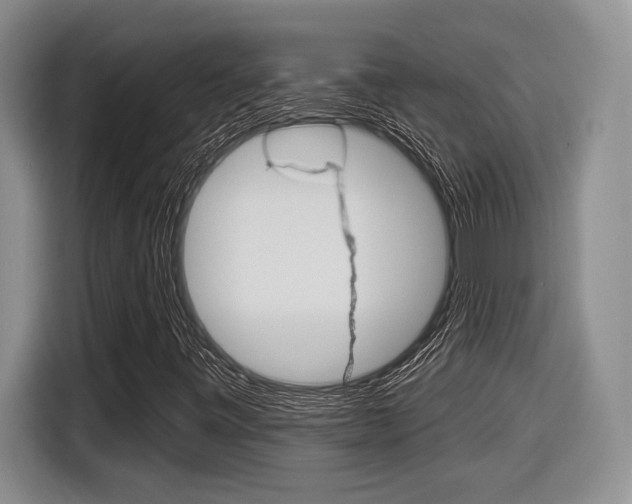 X0000116631443200912110951