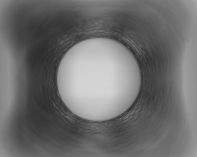 X0000116631444200912110951