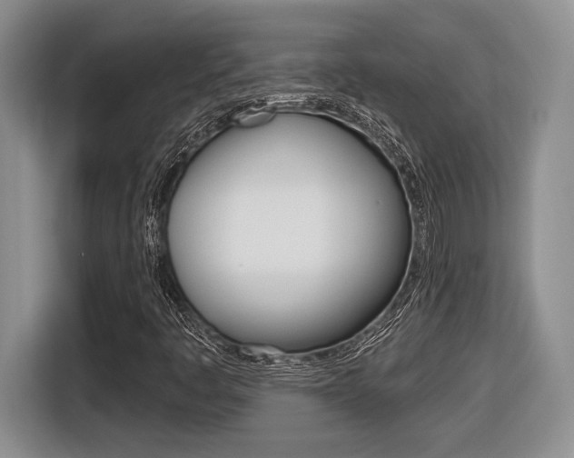 X0000116631445200912110951