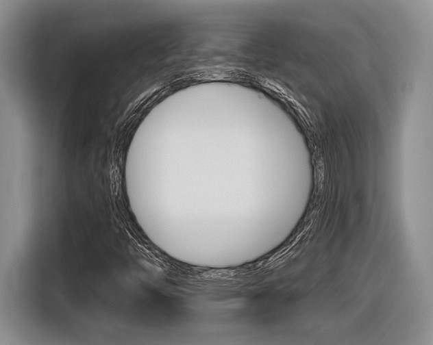 X0000116631446200912110951