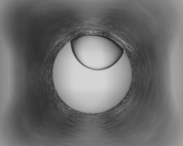 X0000116631447200912110951