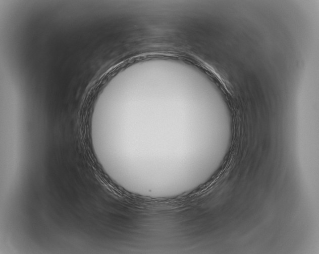 X0000116631448200912110951
