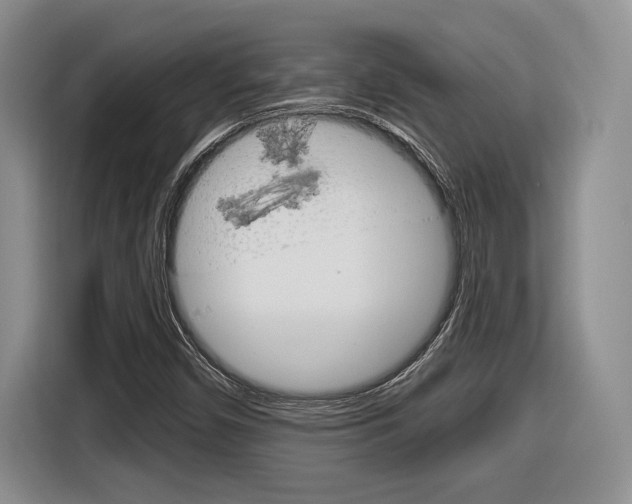 X0000116631450200912110951