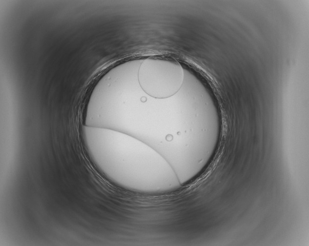 X0000116631451200912110951