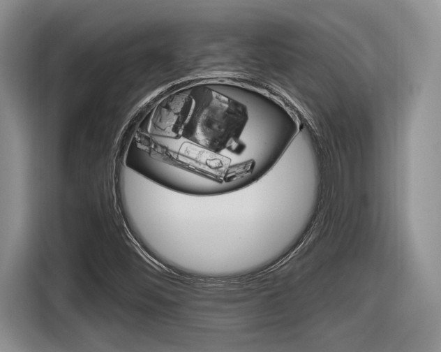 X0000116631452200912110951