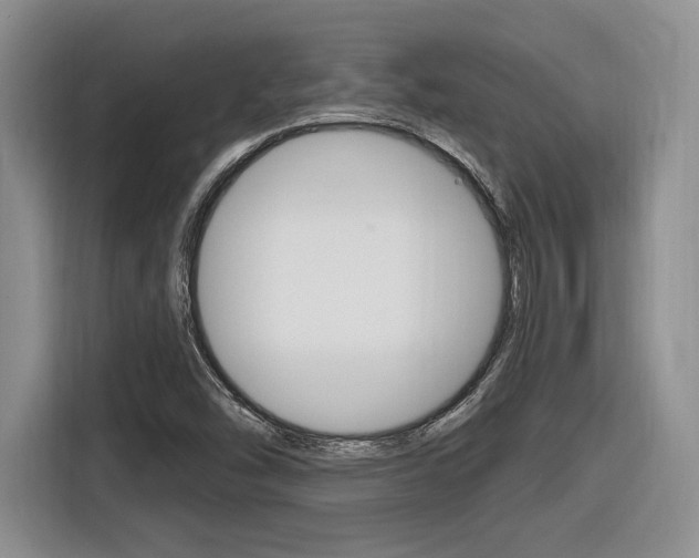X0000116631454200912110951