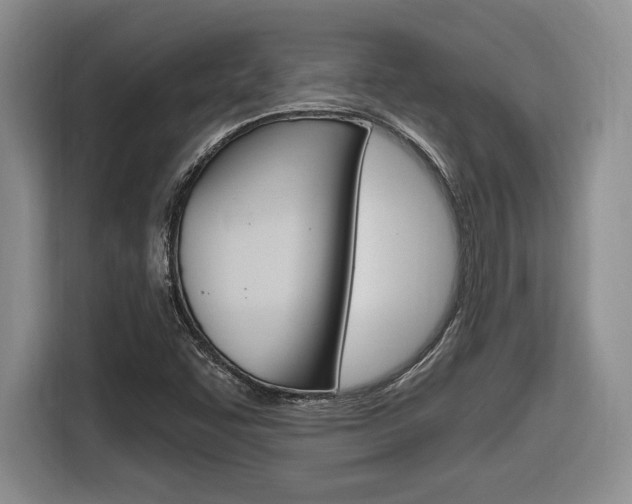 X0000116631455200912110951