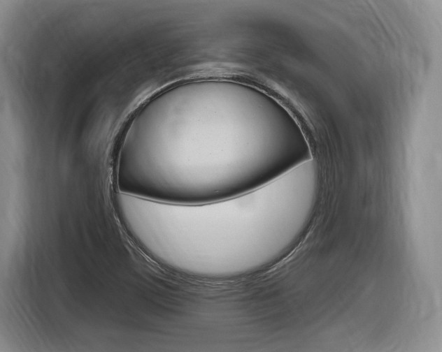 X0000116631459200912110951
