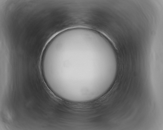 X0000116631460200912110951