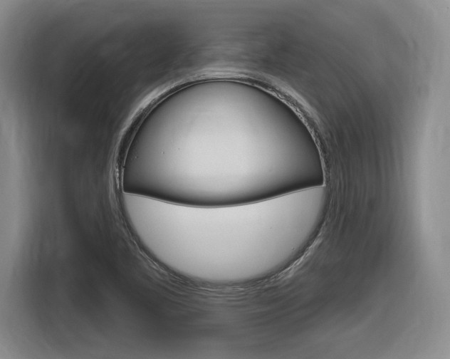 X0000116631461200912110951