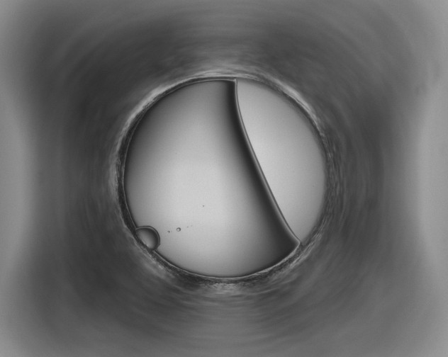 X0000116631463200912110951