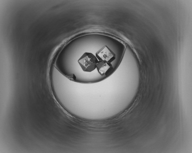 X0000116631464200912110951