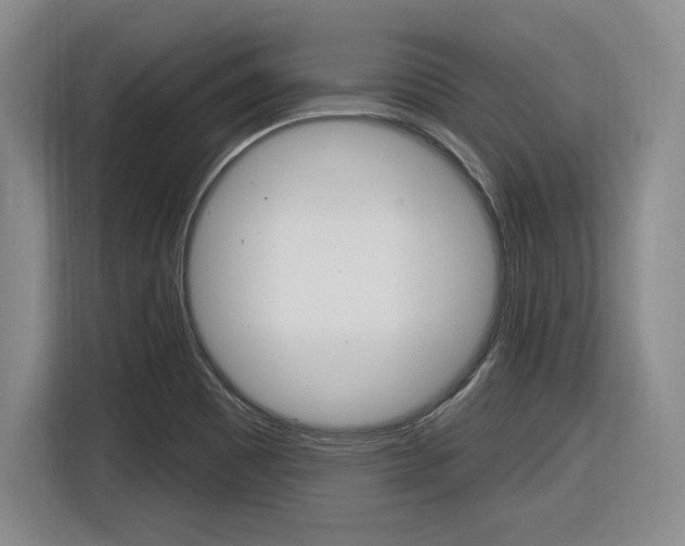 X0000116631465200912110951