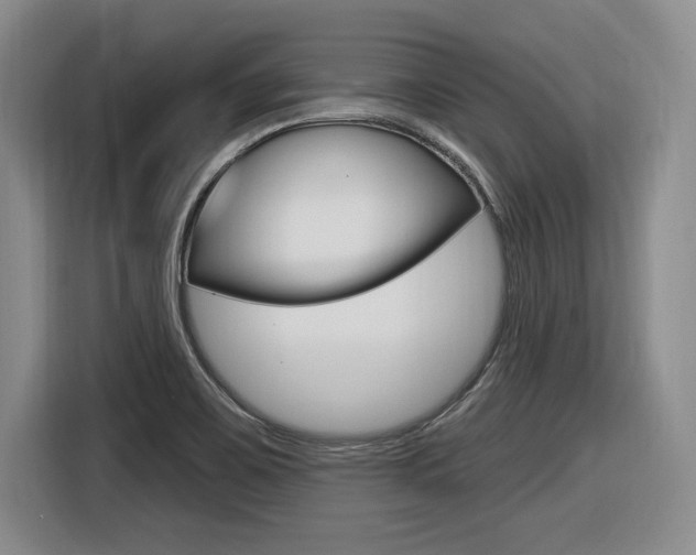 X0000116631467200912110951