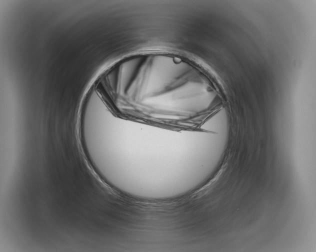 X0000116631469200912110951