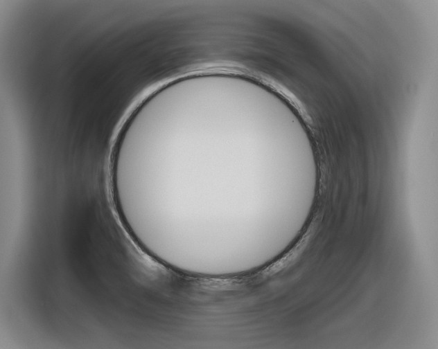 X0000116631470200912110951