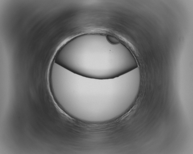 X0000116631471200912110951