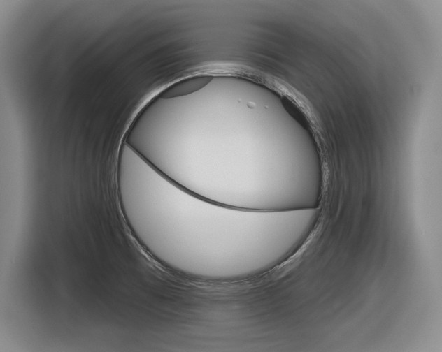X0000116631473200912110951