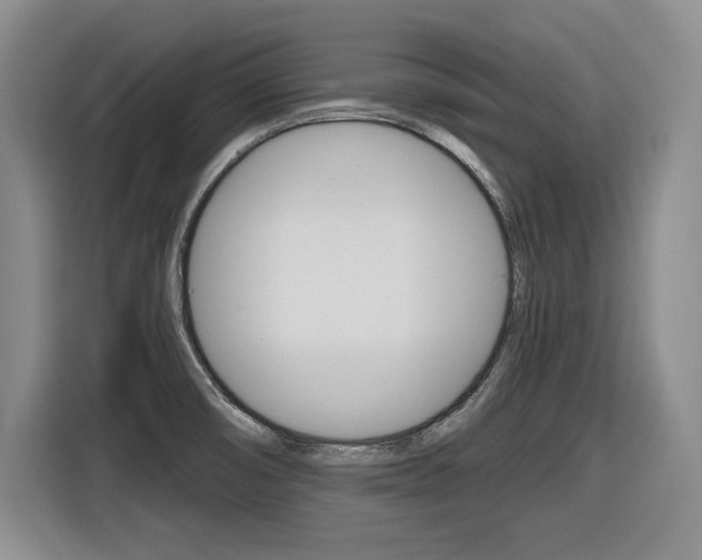 X0000116631474200912110951
