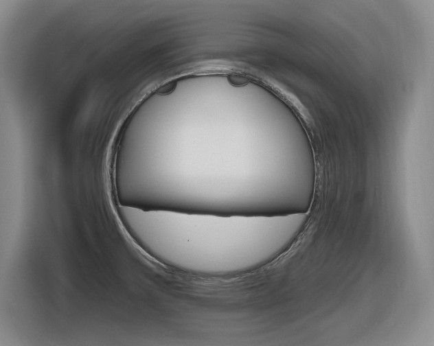 X0000116631475200912110951