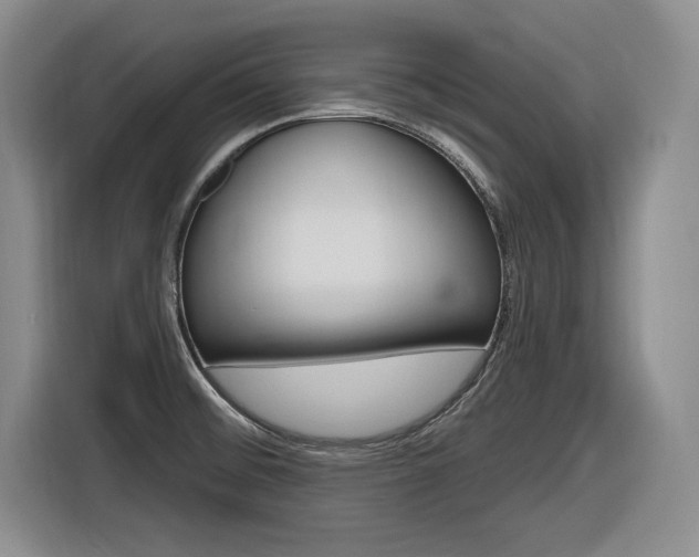 X0000116631476200912110951