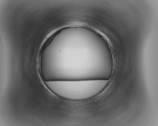X0000116631477200912110951