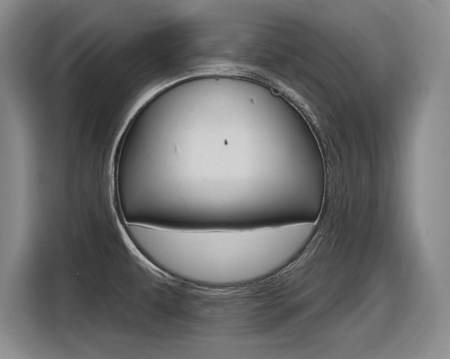 X0000116631479200912110951