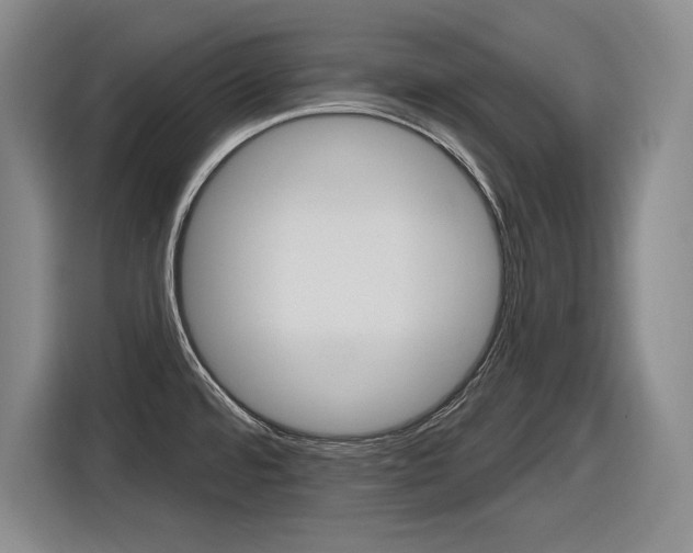 X0000116631480200912110951