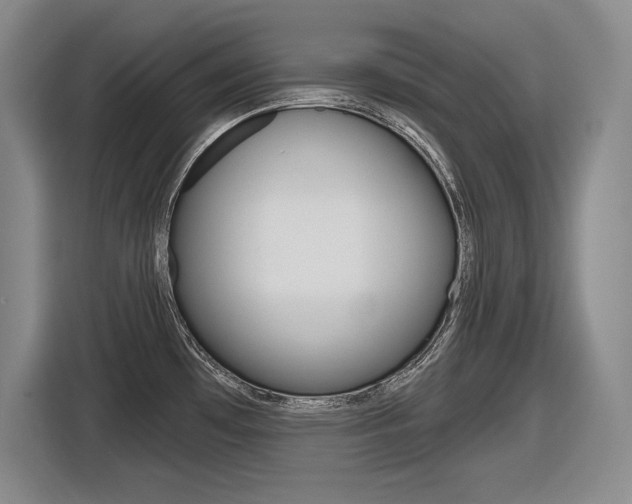 X0000116631481200912110951