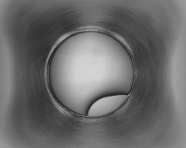 X0000116631482200912110951