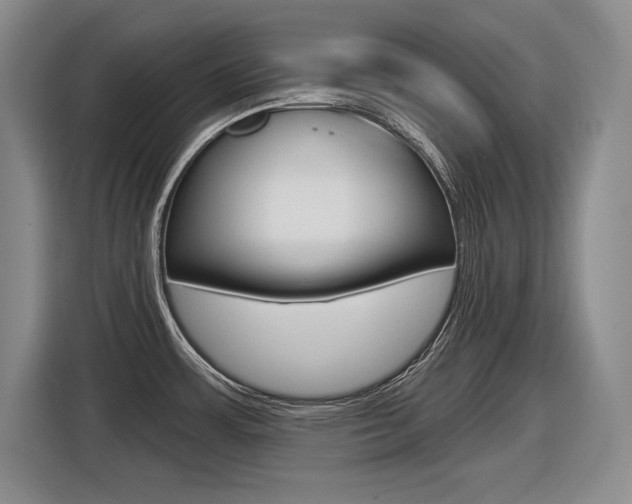 X0000116631483200912110951