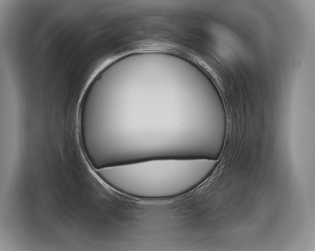 X0000116631487200912110951