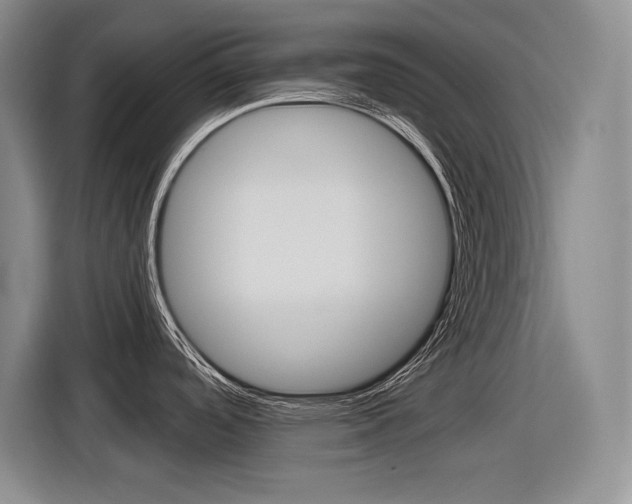 X0000116631488200912110951