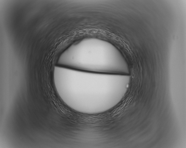 X0000116631489200912110950