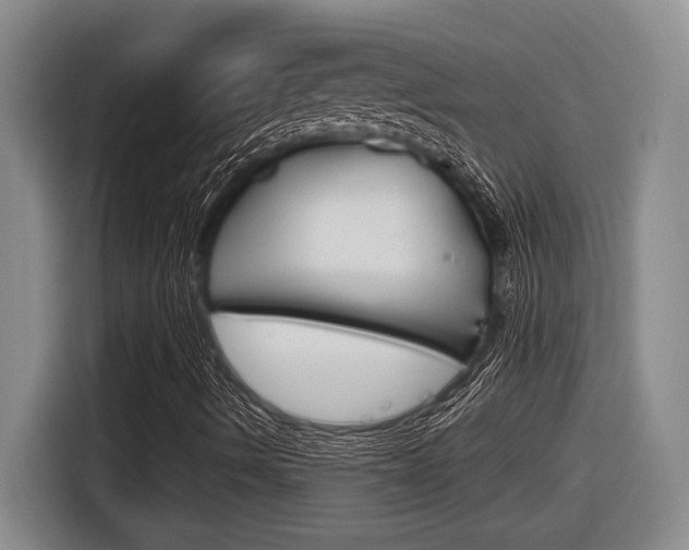 X0000116631490200912110950