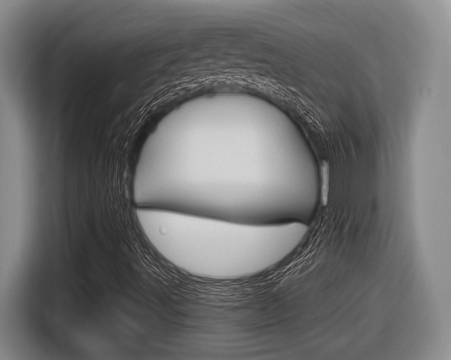X0000116631491200912110950