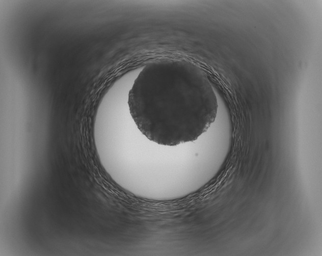 X0000116631493200912110950