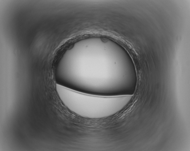 X0000116631494200912110950