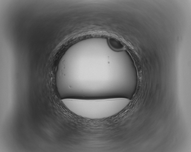 X0000116631495200912110950