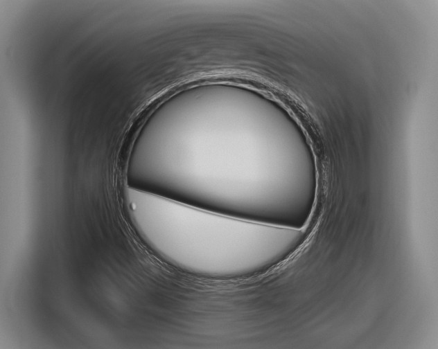 X0000116631497200912110950