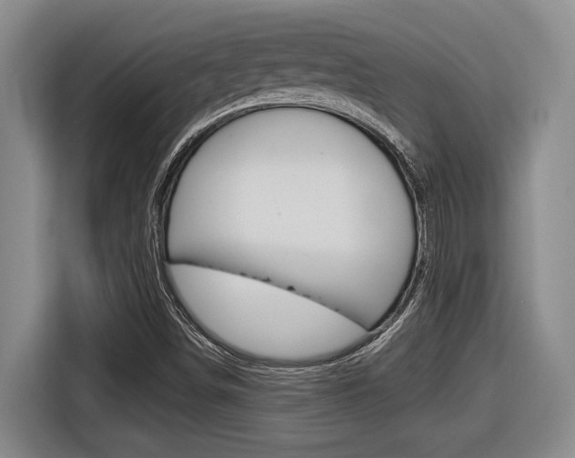 X0000116631498200912110950