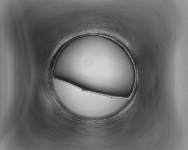 X0000116631501200912110950