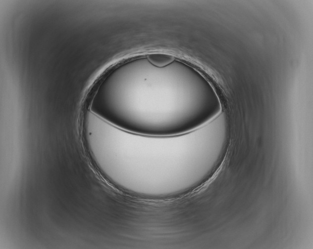 X0000116631502200912110950