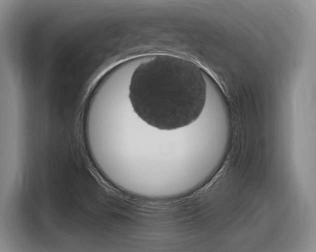 X0000116631503200912110950