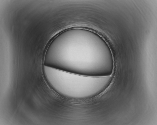 X0000116631505200912110950