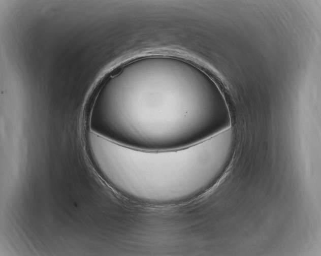 X0000116631506200912110950