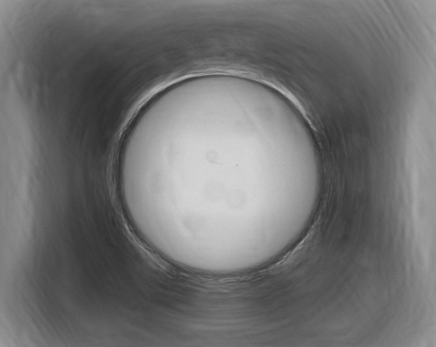 X0000116631507200912110950
