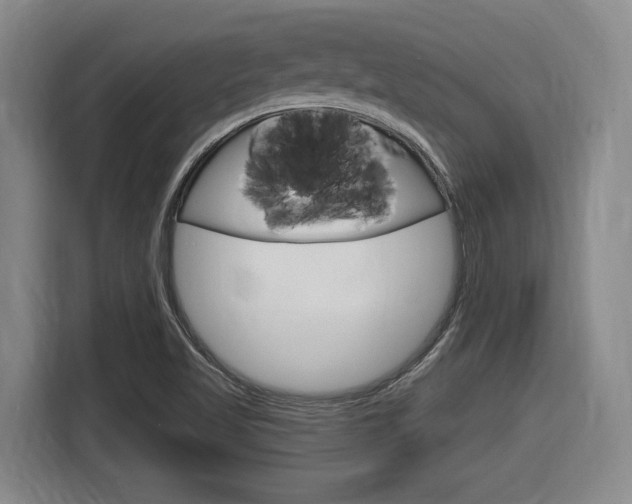 X0000116631509200912110950