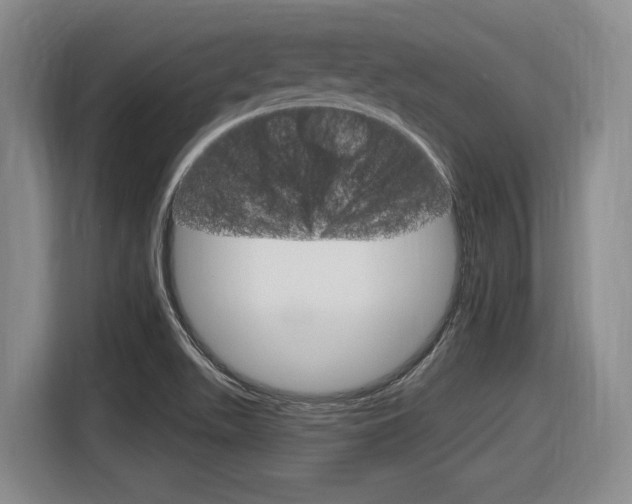 X0000116631511200912110950